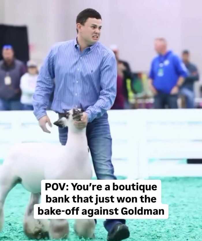 Man in blue shirt with sheep, caption about winning against Goldman; Wall Street meme humor.