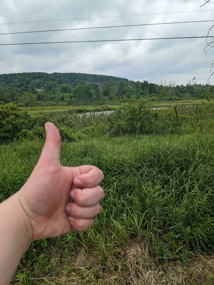 Mano mostrando gesto de aprobación en campo verde con colinas y cielo nublado, simbolizando momentos positivos y fe en la humanidad.