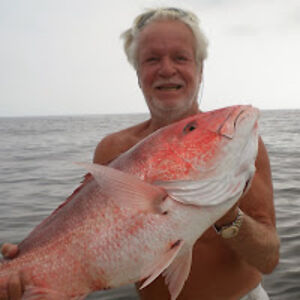 stevesalter_1 avatar