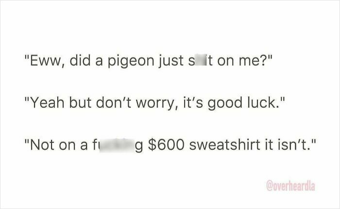 Humorous overheard conversation in the streets of LA about a pigeon and an expensive sweatshirt.
