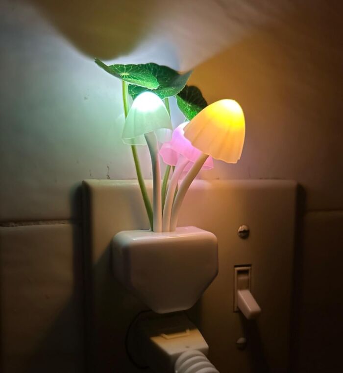 Mushroom shaped night light glowing in multiple colors, one of the items to unleash your inner child at home.