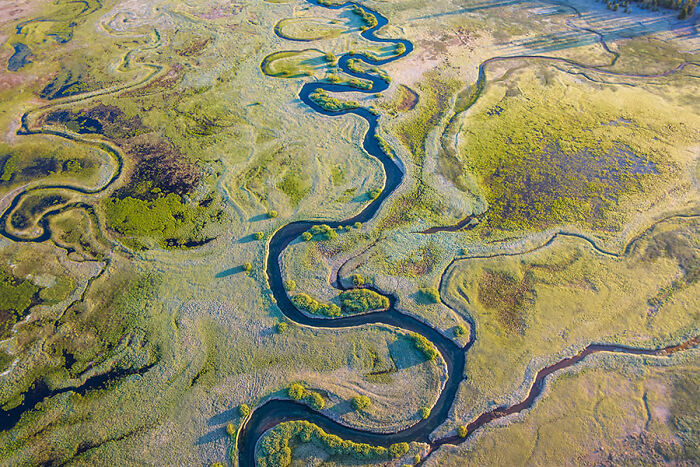 Aerial view of a winding river flowing through lush green landscape, showcasing stunning nature photography.