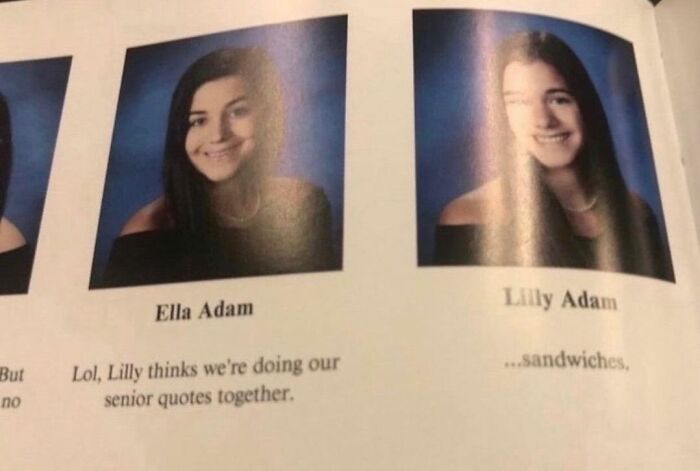 Yearbook page with two portraits and contrasting senior quotes related to "sandwiches," embodying weird Instagram humor.