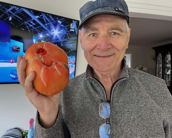 Hombre mayor sonriente mostrando un tomate grande y peculiar que inspira momentos positivos y fe en la humanidad.