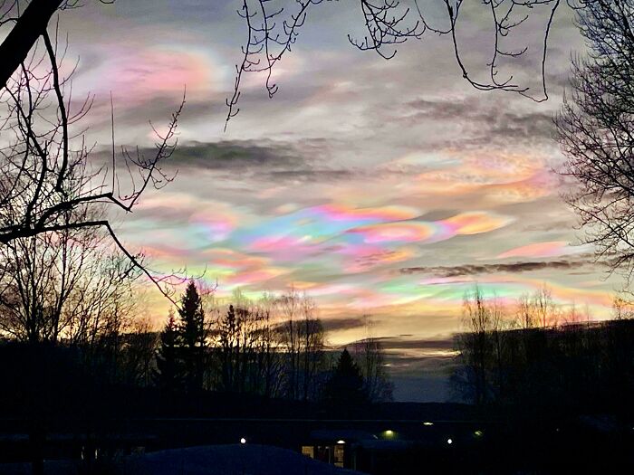 Iridescent clouds glowing over a silhouetted forest at dusk illustrating one-in-a-million coincidences in nature.