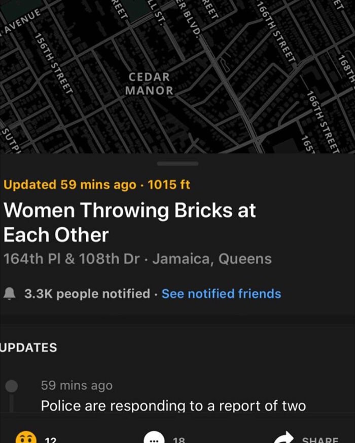 Women Throwing Bricks At Each Other Jamaica, Queens, NY Sometimes You Skip The Drama And Head Straight For Demolition