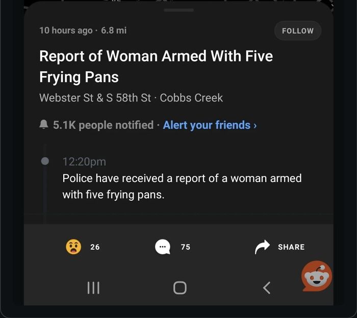 Woman Armed With Five Frying Pans She Came Prepared For A Five-Course Battle