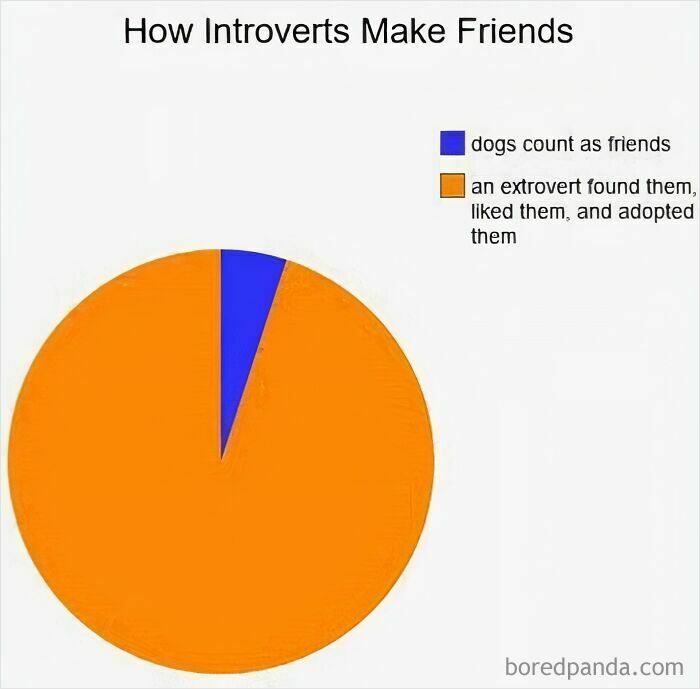 Pie chart illustrating introverts' friendship methods: 'Dogs count as friends' and 'Extroverts adopting them.'