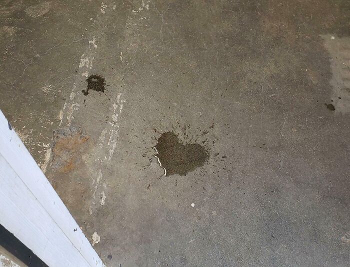 Heart-shaped water stain on concrete ground, capturing pure and uplifting moments in everyday life.