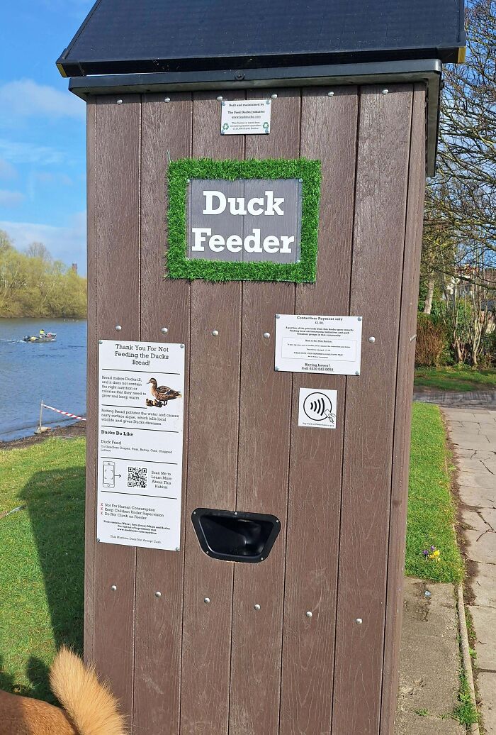 Duck feeder station by a riverside with instructions, promoting pure and uplifting moments in daily outdoor scroll.