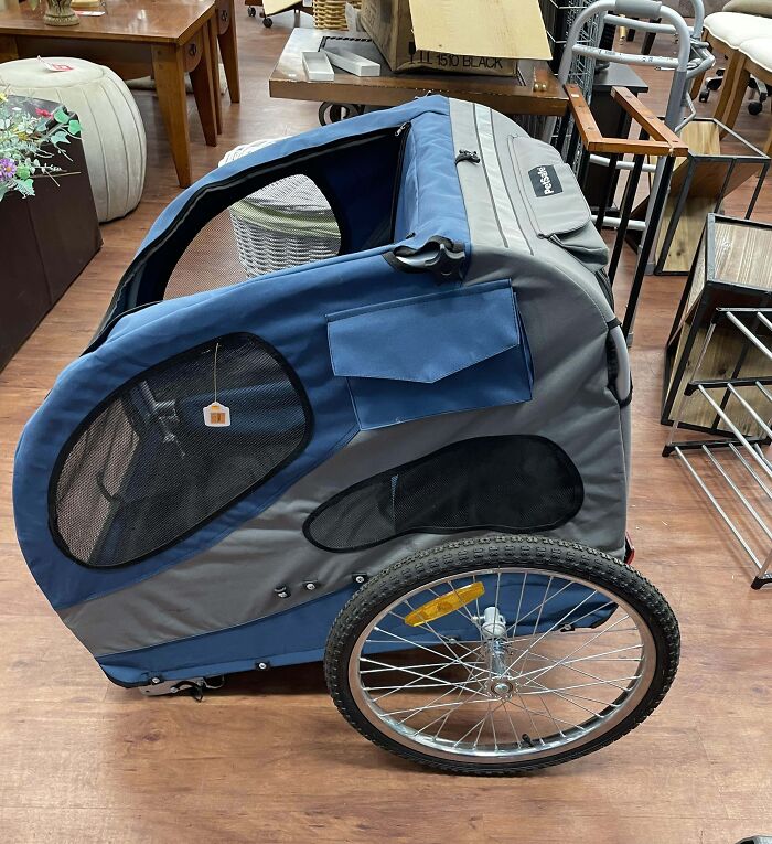 Blue and gray bike trailer at Goodwill, a hidden gem find.