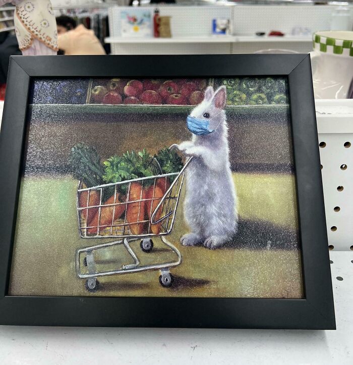 Framed artwork of a rabbit in a mask pushing a shopping cart, found at Goodwill.