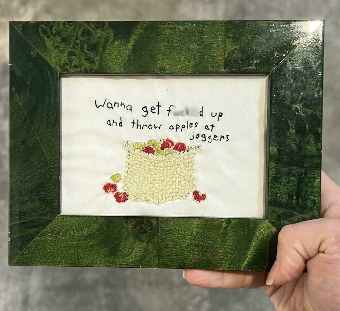 Framed embroidery found at Goodwill with humorous text and apple design.