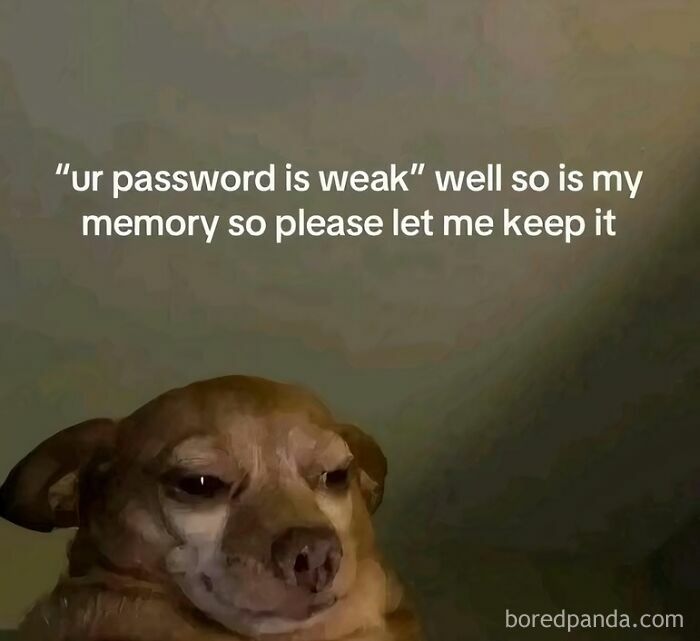 Funny meme with a smirking dog and text about weak passwords and memory.