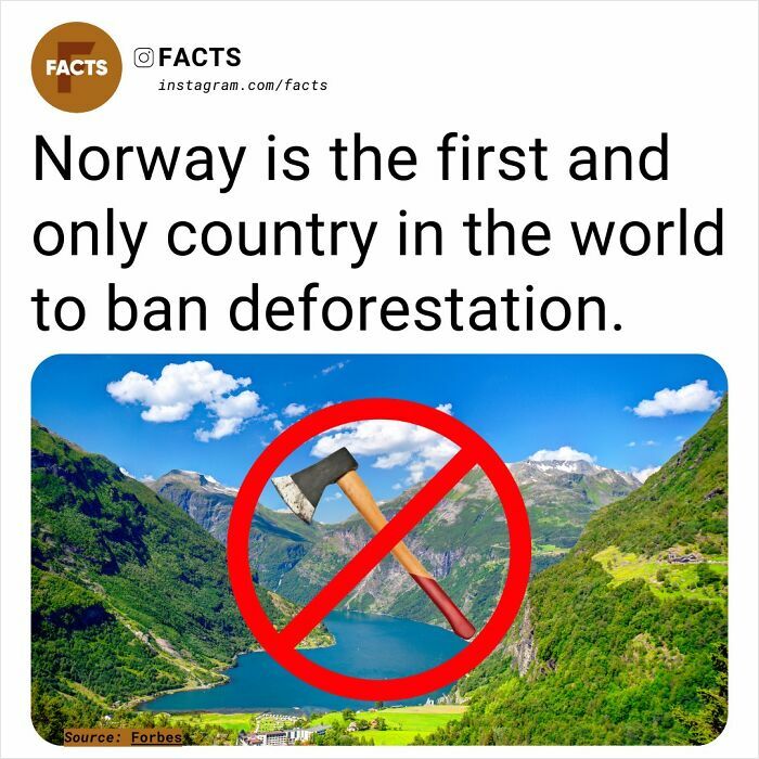 Norway bans deforestation, scenic landscape crossed with red prohibition sign over an axe.