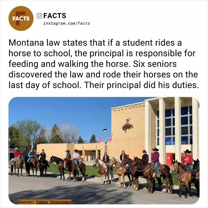 Students on horseback at Montana high school, highlighting fascinating local law about horses and school principals.
