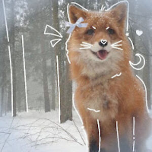 foxcraftfucku avatar