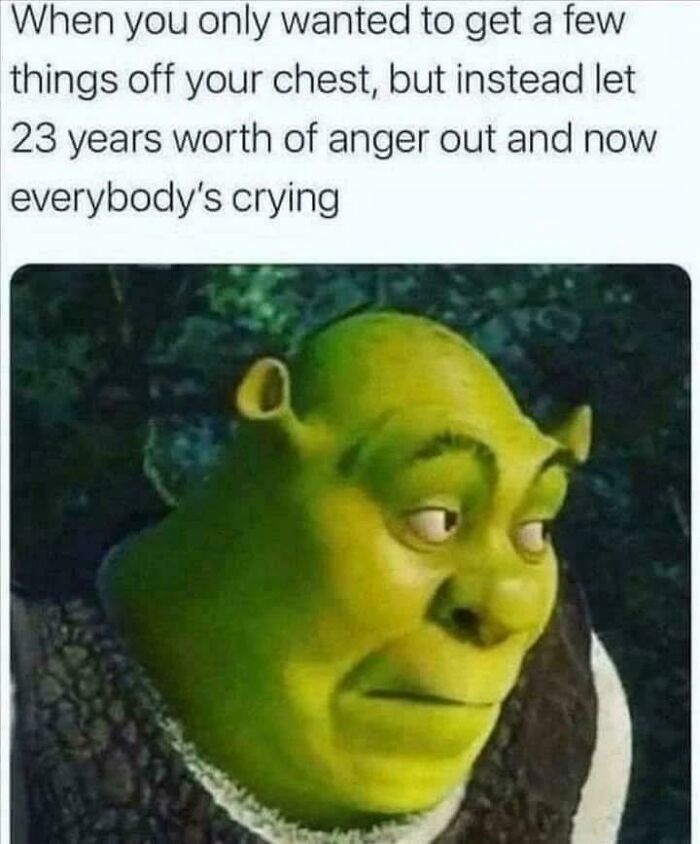 Meme showing Shrek with a relatable anxious expression about releasing years of anger, funny memes about anxiety struggles.
