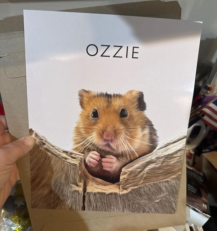 Close-up of a cute hamster on a card, a unique last minute Mother's Day gift idea that doesn't look like it came from a gas station.