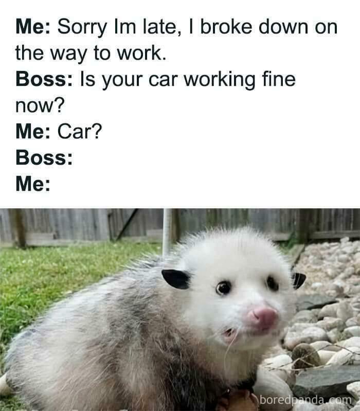Relatable anxiety meme showing a startled possum reacting to confusing conversation with its boss.