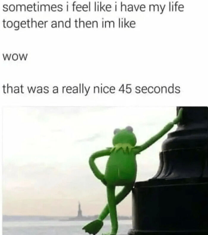 Kermit meme reflecting brief moments of feeling together, relatable to those who struggle with anxiety and stress.
