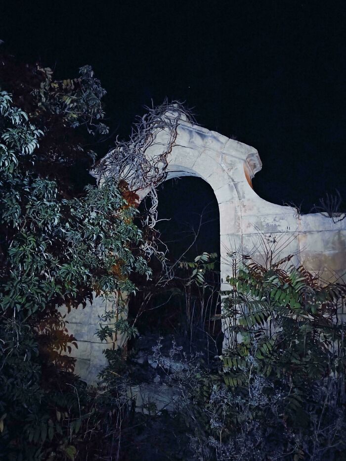 Overgrown broken archway at night surrounded by dense foliage, creating a creepy and eerie atmosphere.