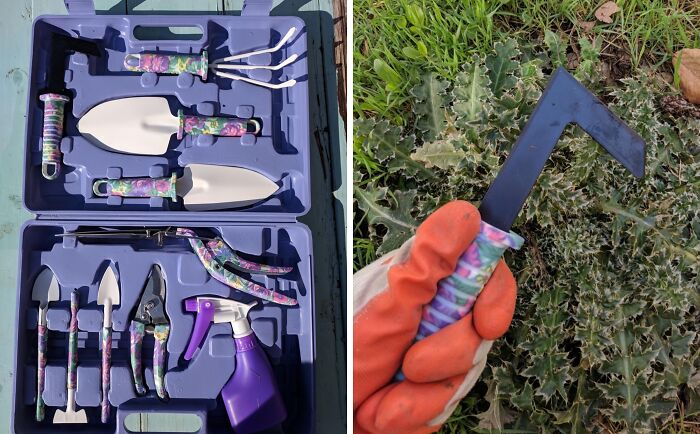 Colorful gardening tools set in a blue case and a gloved hand holding a garden h*e over green plants for last minute Mother's Day gifts.