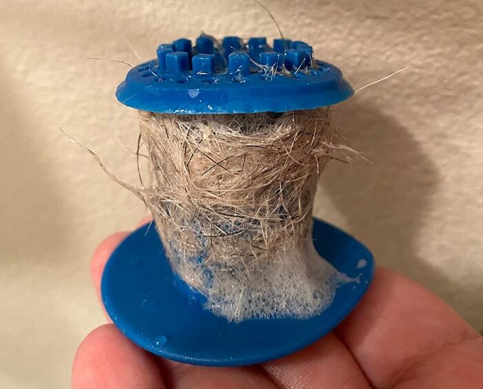 Clogged hair trap full of tangled hair and soap residue held in a blue plastic holder, showing cleaning challenges Wednesday.
