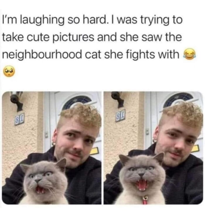 Man taking funny selfies with a cat reacting to a neighborhood cat in wholesome memes to share with loved ones