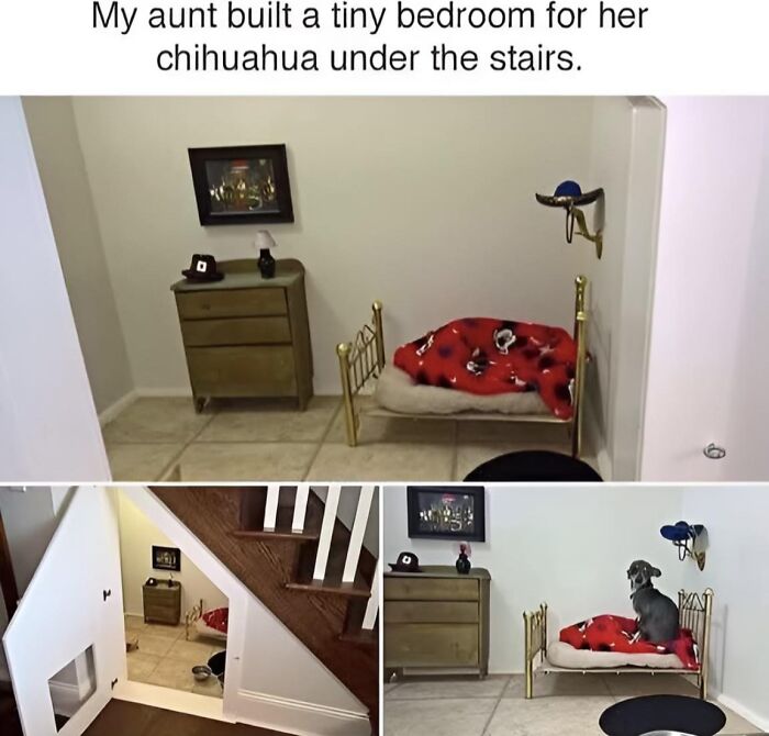 Small bedroom built under stairs for chihuahua with a cozy bed and dresser in wholesome memes collection.