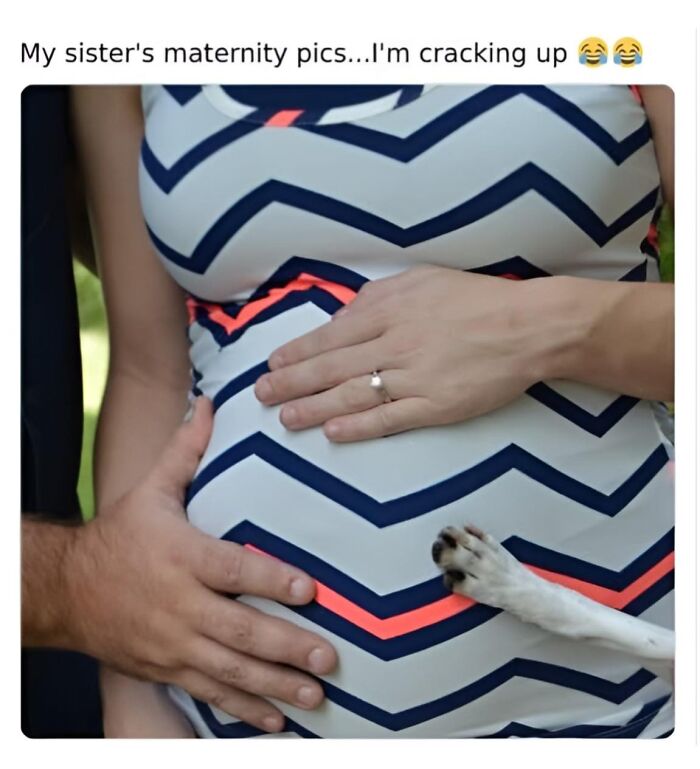 Close-up of a pregnant belly with hands and a dog's paw, a wholesome meme to send to your favorite people.