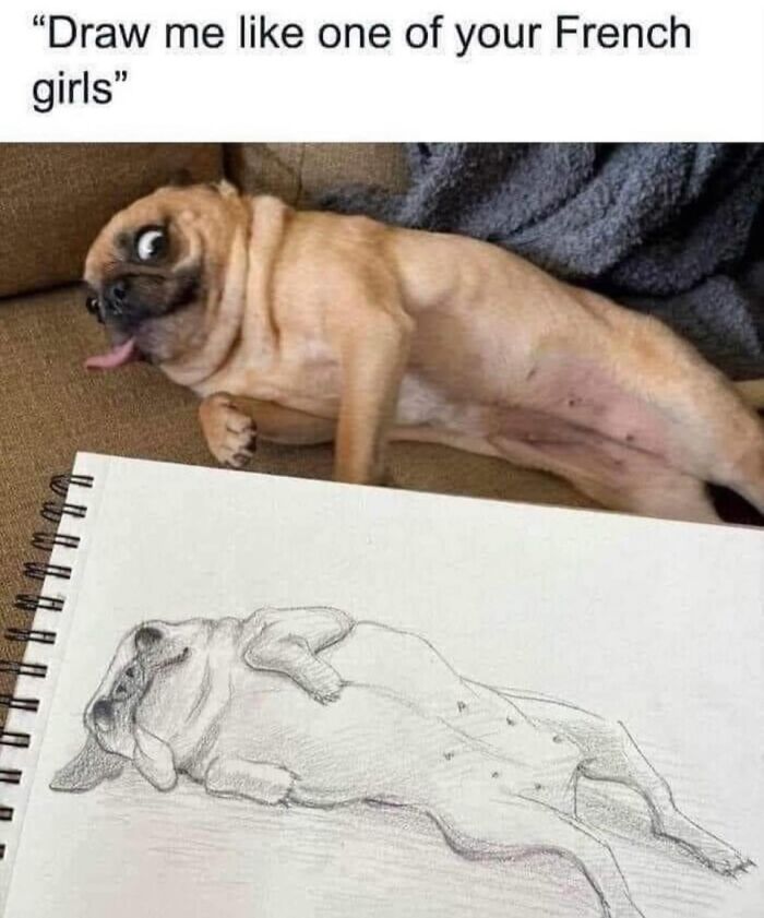 Pug lying on couch with tongue out and eyes rolled, next to a wholesome meme sketch of the same pose.