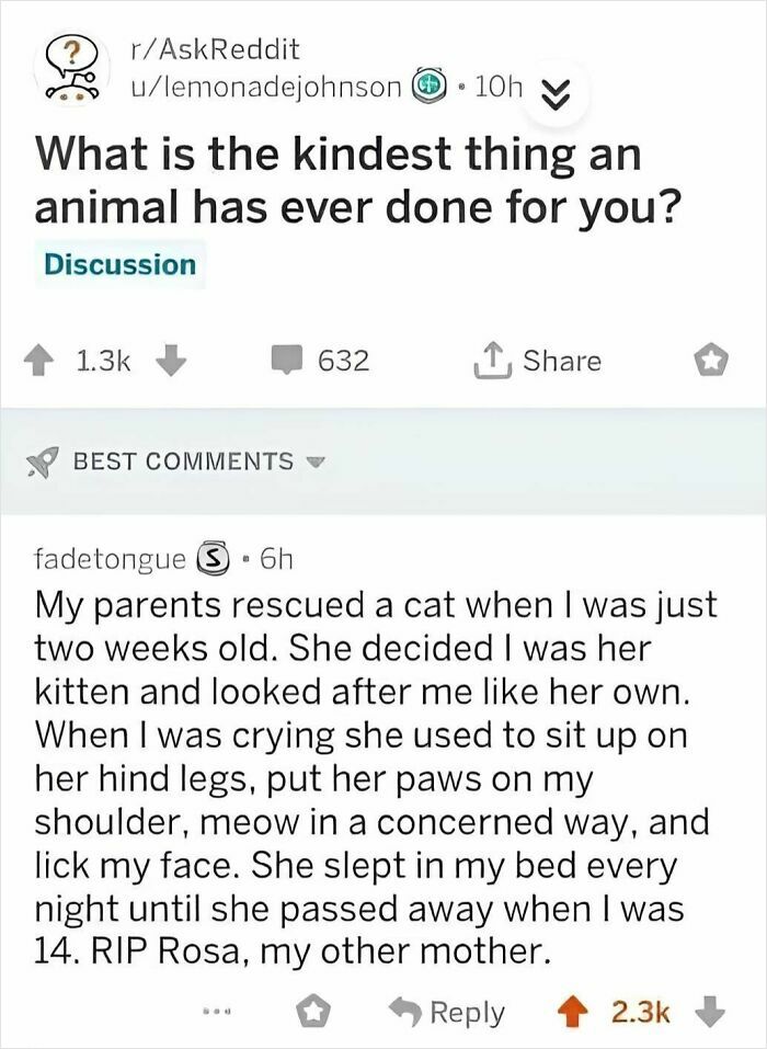 Reddit thread discussing the kindest thing an animal has done, featured in wholesome memes to send to favorite people.