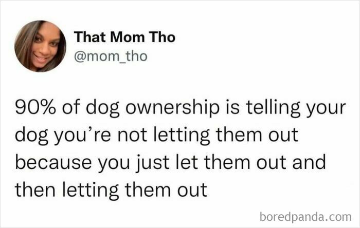 Screenshot of a wholesome meme about dog ownership and repeatedly letting dogs out, featuring casual social media text.