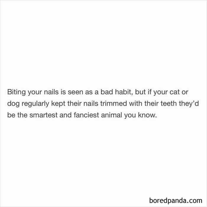 Funny and random shower thoughts about pets trimming nails with teeth, shared on a popular IG page.