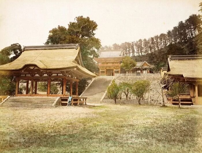 Historic wooden buildings and traditional architecture surrounded by trees in Japan during the 1800s era.