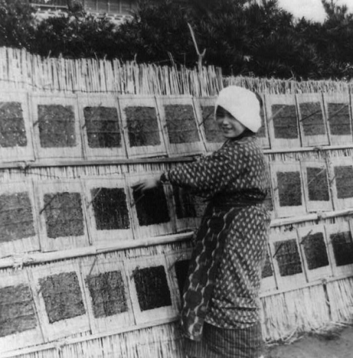 Woman in traditional clothing drying seaweed outdoors, historic black and white photo showing Japan in the 1800s.