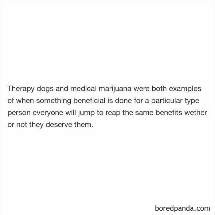 Text post about therapy dogs and medical m*******a showing a funny and random shower thoughts shared on this IG page.
