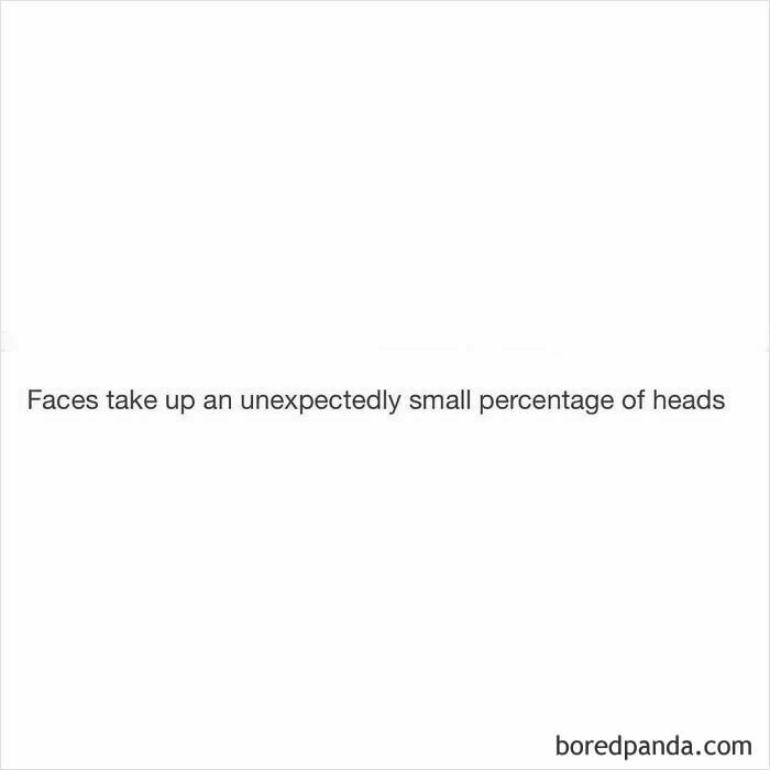 Text image with a funny and random shower thought about faces taking up a small percentage of heads.