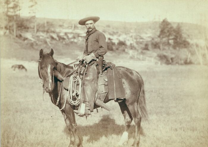 Cowboy wearing a wide-brimmed hat sitting on a saddled horse in an open field, 1800s authentic photo.