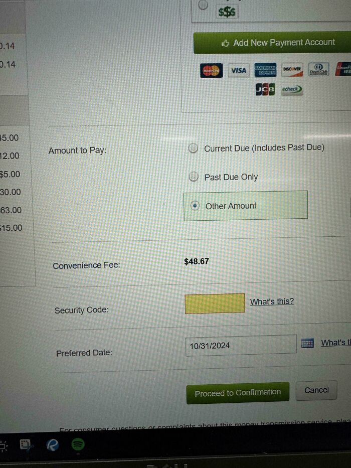 Online payment screen showing convenience fee and options to pay current or past due amount in US life context.