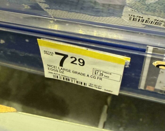 Price tag showing $7.29 for a dozen large grade A eggs, reflecting current life in the US through the eyes of Americans.