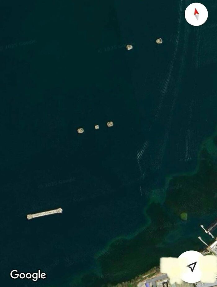 Aerial view of mystery objects floating in water, illustrating an example of unknown items people helped recognize online.