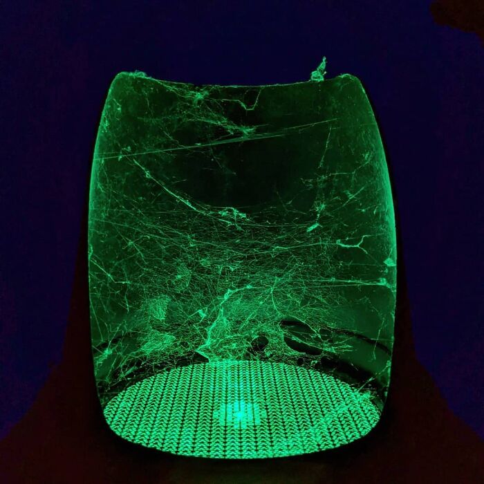 Glowing green spiderwebs inside a transparent container, showcasing an alternate angle of a natural web structure.