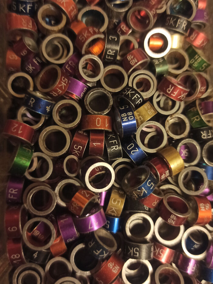 Close-up of colorful numbered bands used as identifiable mystery objects recognized by an online group.