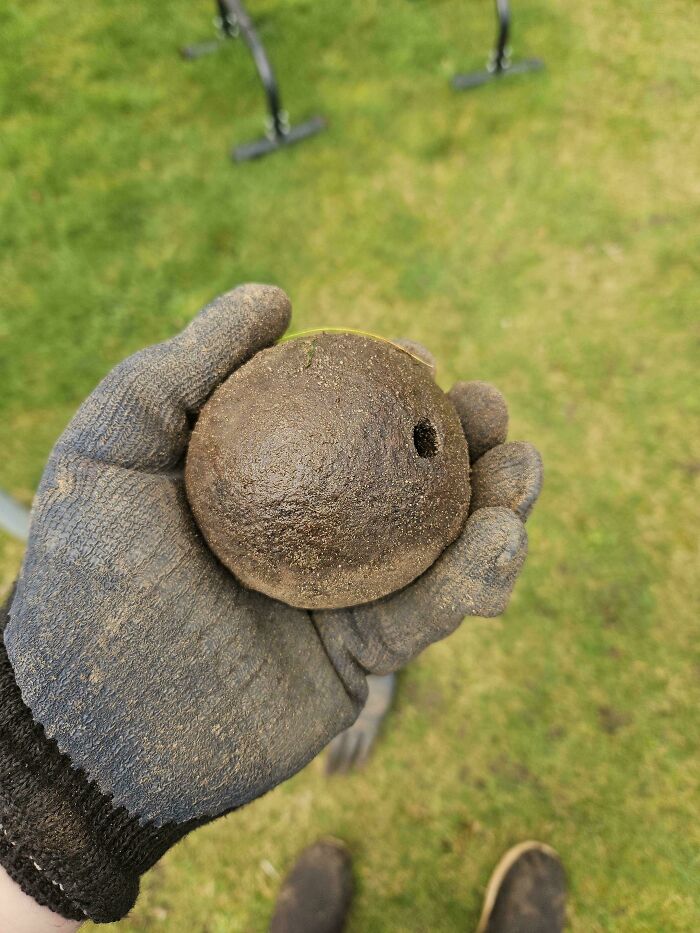 Gloved hand holding a round, dirt-covered mystery object with a small hole, in a grassy outdoor setting.