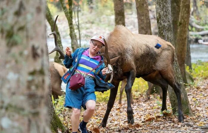 A rude and entitled tourist startled by an elk in a forest, illustrating obnoxious tourist behavior in nature.