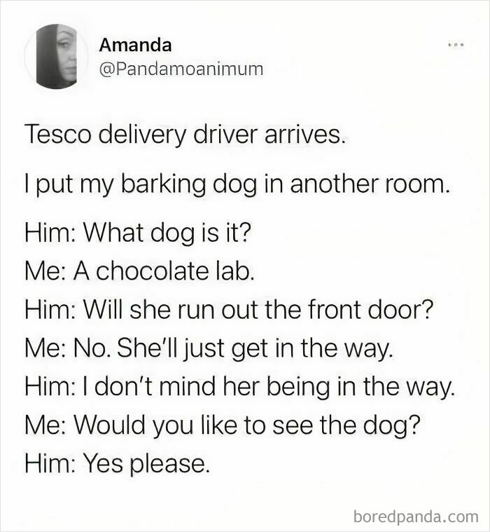 Text conversation meme about a Tesco delivery driver and a chocolate lab dog in wholesome memes to send.