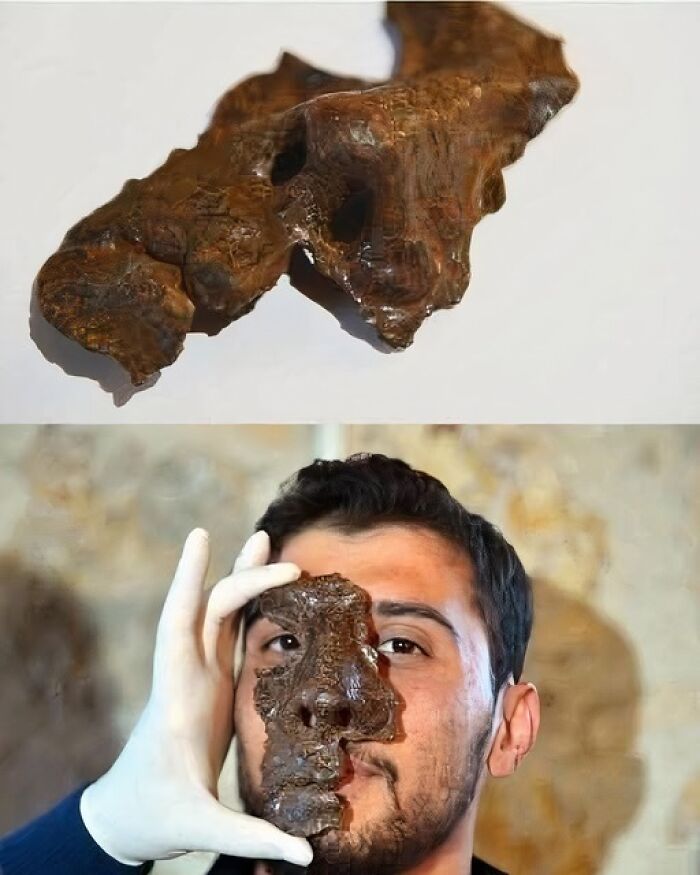 Ancient bronze mask fragment held by a man with gloved hand, showcasing archaeology news and architectural artifact.