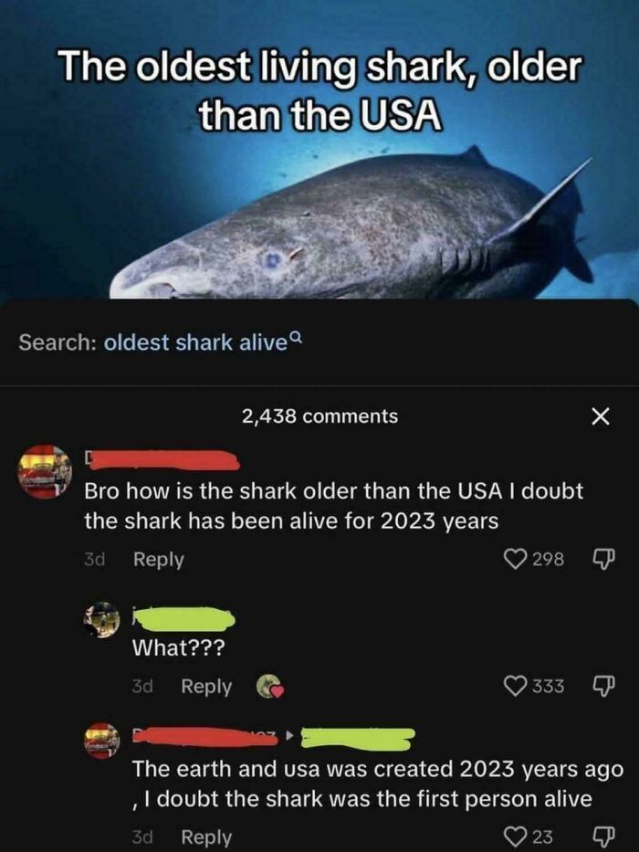 Comment thread showing ignorance of Americans about the oldest living shark and the age of the USA.